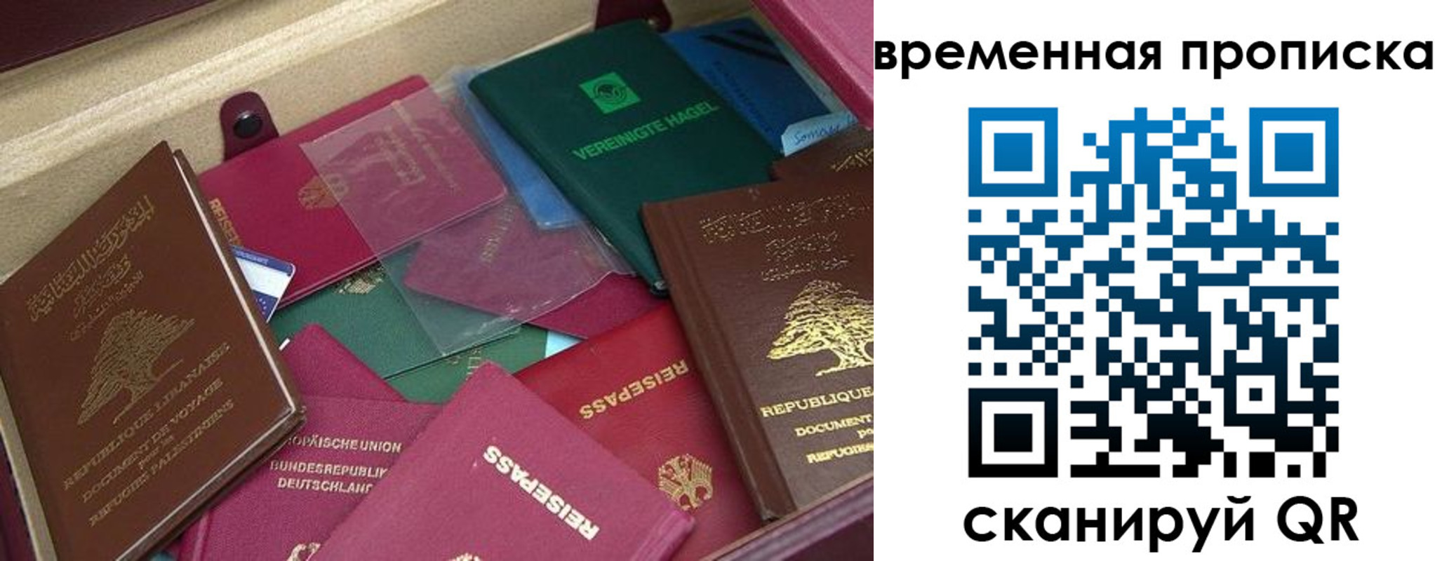 прописка в Вязниках